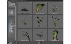 Asset browser (3)